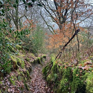 Hereford Mountain Club Our recent activities