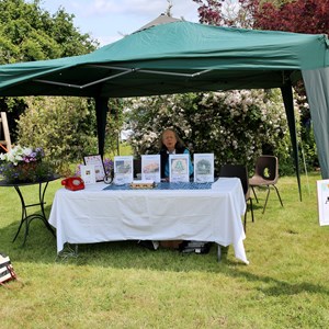 Berwick St James Parish Berwick Village Fayre - 8th June 2025