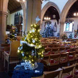 Alresford Community Centre Church Christmas Tree Competition