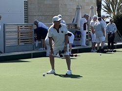 Henfield Bowling Club The Bowls