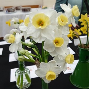 Mannings Heath & District Horticultural Society Photo Gallery