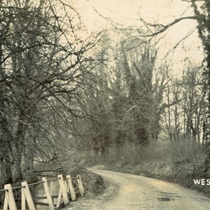 West Meon Road 1928