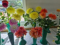Bucklebury and Marlston Horticultural Society Autumn Show Report 2026
