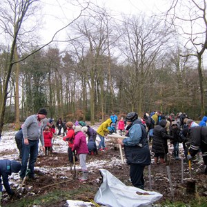 Volunteers planting the whips on a snowy morning. They came from Lickey Hills School, Deutsche Bank, local organisations and residents