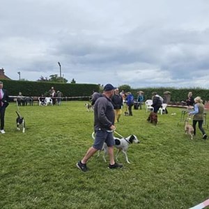 Whixall Social Centre Whixall Companion Dog Show 2024