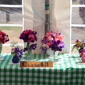 HBT Horticultural Society Photographs 2025