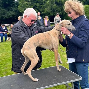 Whixall Social Centre Whixall Companion Dog Show 2024