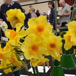 Mannings Heath & District Horticultural Society Photo Gallery