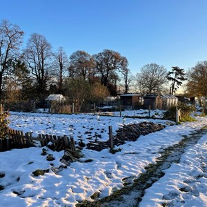 Balderton Parish Council Glebe Park Allotments