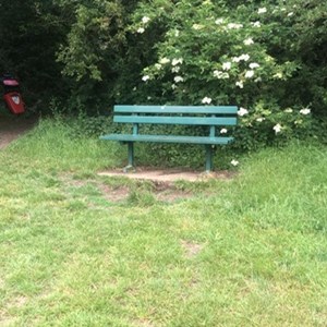 Hoo St Werburgh and Chattenden Parish Council Hoo Common