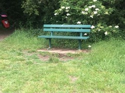 Hoo St Werburgh and Chattenden Parish Council Hoo Common