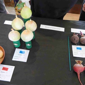 Goodworth Clatford Parish Council  Fete 2026 photos