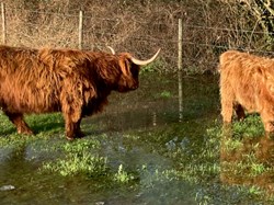 Martinstown Village Hall AP
