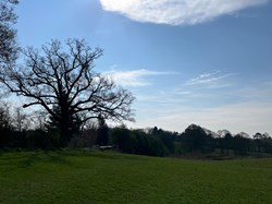 Audlem Parish Council Turnpike Field