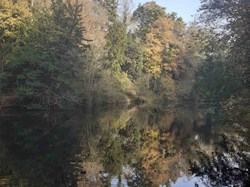 Badger Parish Council Dingle and the Birdhouse