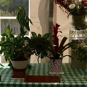 HBT Horticultural Society Photographs 2026