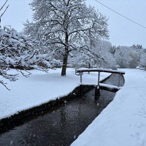 BISHOP MONKTON TODAY Snow January 2025