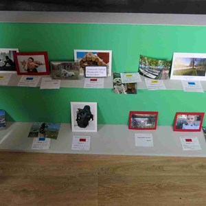 Goodworth Clatford Parish Council  Fete 2026 photos