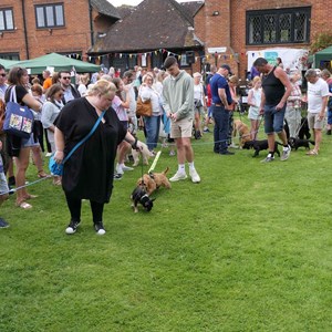 Goodworth Clatford Parish Council Village Fete/Garden Show