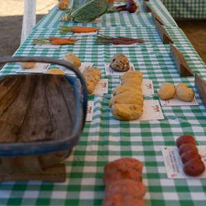 HBT Horticultural Society Photographs 2026