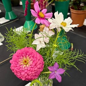 Mannings Heath & District Horticultural Society Photo Gallery