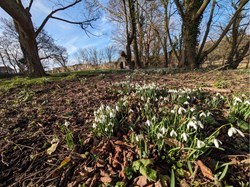 The Old Laundry @ Hall Waberthwaite Photographs