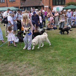 Goodworth Clatford Parish Council  Fete 2026 photos