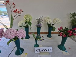 Bucklebury and Marlston Horticultural Society Summer Show 2026