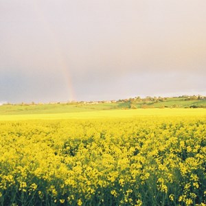 Looking towards the village