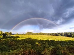 Cannock Wood Parish Council Castle Ring