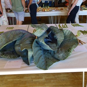 BETHERSDEN GARDENER'S SOCIETY Photo Gallery