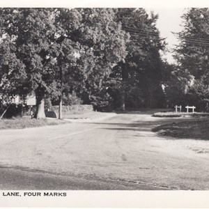Telegraph Lane from the A31 c1955