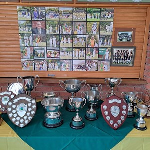 Trophy & Awards table