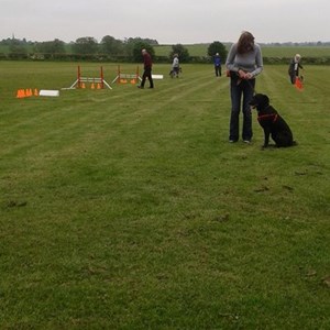 Tamworth Dog Training Club