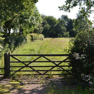 Bleasby Community Website Walking & Countryside Group