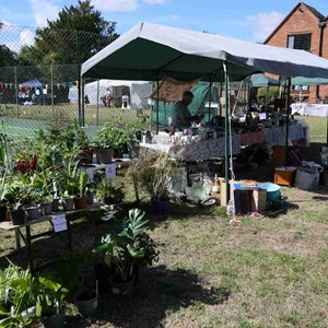 Goodworth Clatford Parish Council  Fete and Flower Show 2026 photos