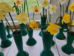 Bucklebury and Marlston Horticultural Society Spring Show Report 2026