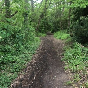Hoo St Werburgh and Chattenden Parish Council Hoo Common