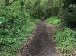 Hoo St Werburgh and Chattenden Parish Council Hoo Common