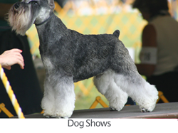 Bearley Village hall Home