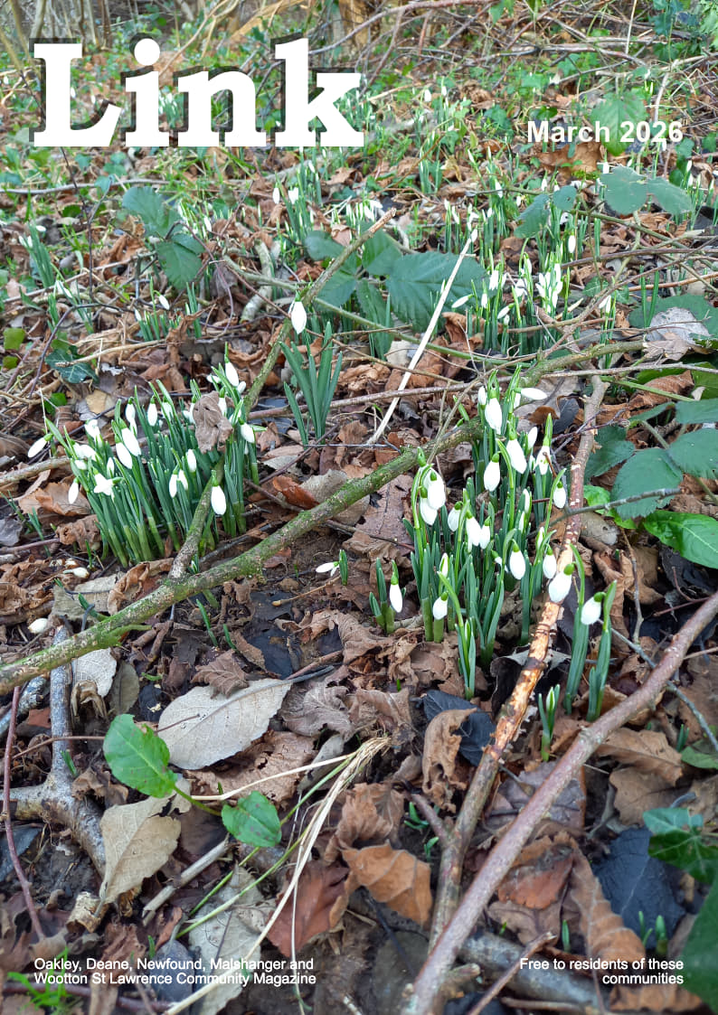 Oakley Link Magazine Current Issue