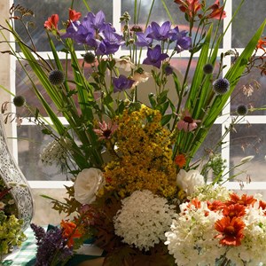 HBT Horticultural Society Photographs 2026