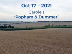 Carole’s ‘Popham & Dummer’. Stunning autumnal views. ©EH