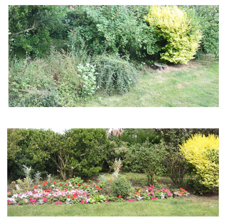 Gardens before & after