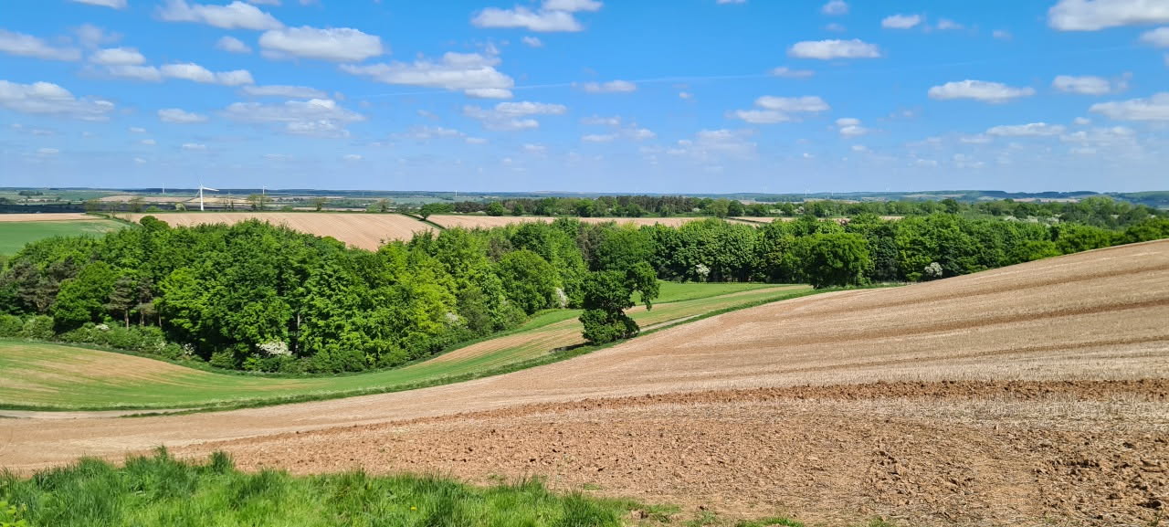 Attribution: Oxton Hill