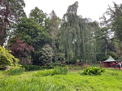 Bucklebury History Group The Dell - Carbinswood Lane