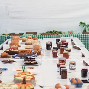 HBT Horticultural Society Photographs 2025