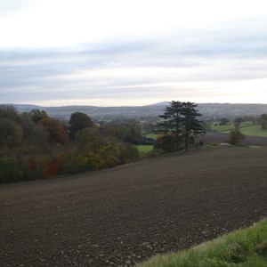 View Over Culmington