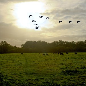 About Us, Crookham Village Neighbourhood Plan