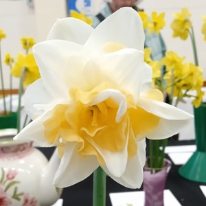 Mannings Heath & District Horticultural Society Photo Gallery